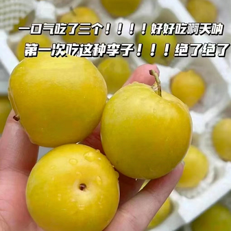 5.9元包邮！神仙水果桃花李2斤（HP商家返2元）