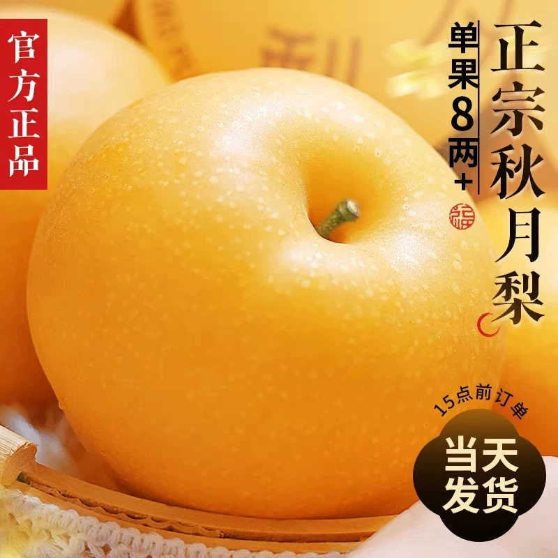 山东现摘现发秋月梨4.5斤