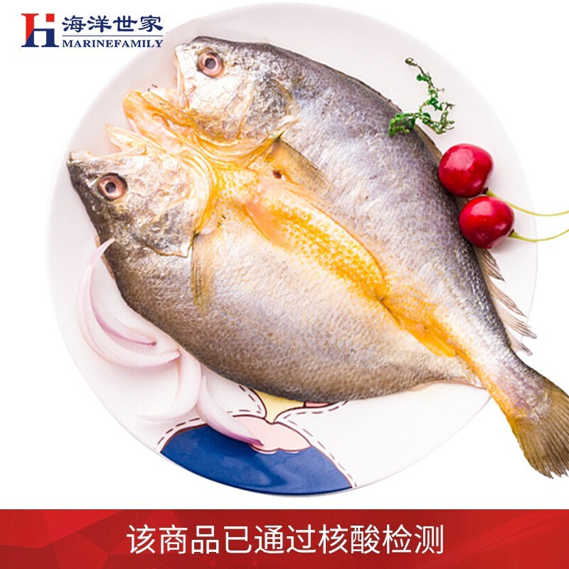 海洋世家深海速冻大黄花鱼
