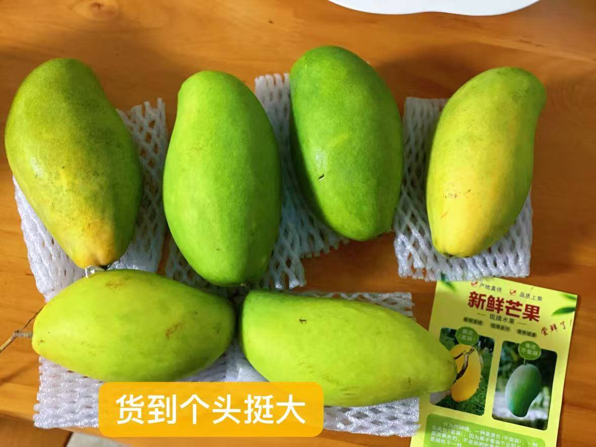 玖原农珍海南金煌芒果净重4.5斤仅需12.8元