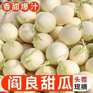 正宗现摘陕西阎良甜瓜9斤香瓜当季新鲜水果软糯香甜玉菇小蜜瓜