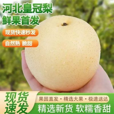 PDD热销产品汇总14点档更新2026/08/20