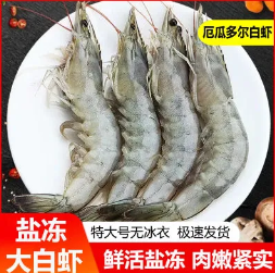 118元包邮！品珍鲜活·特大盐冻白虾 3.3斤净重