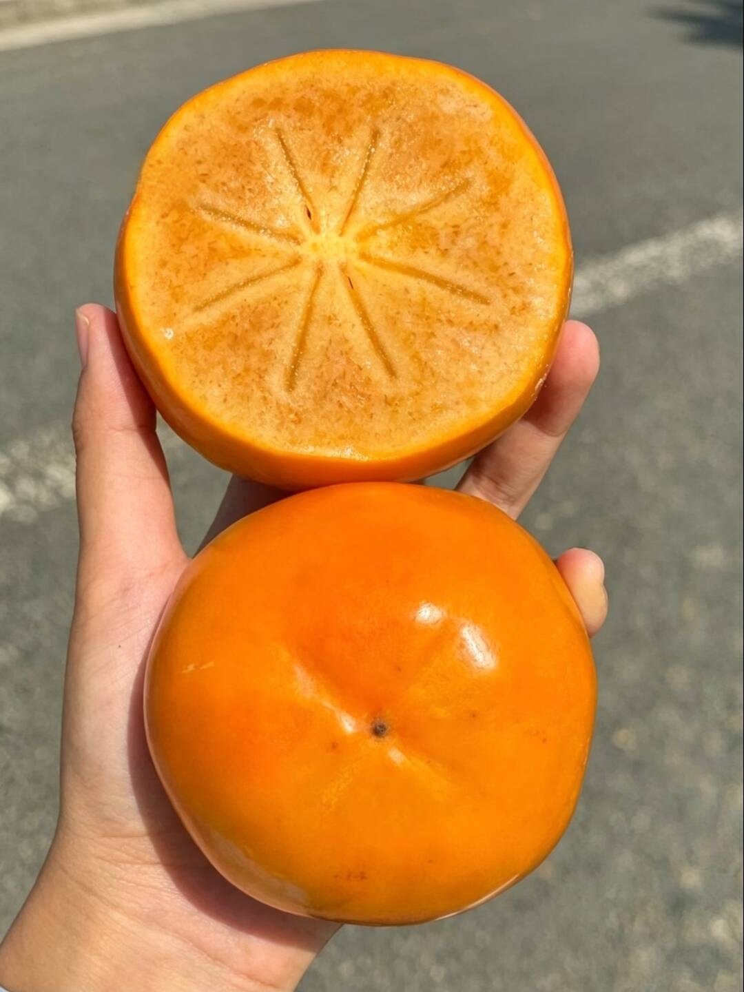 0_2