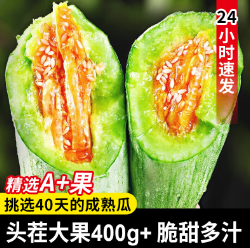 35.9元包邮！饭小鲜 山东羊角蜜甜瓜博洋61号 4.5斤（大果400g+）
