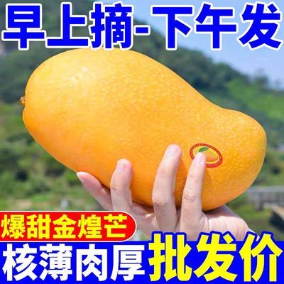 PDD热销产品汇总08点档更新2024/04/13