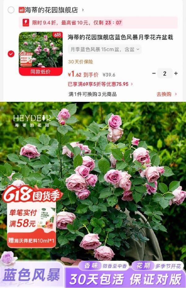海蒂的花园花卉盆栽：5折券限时抢，手慢无！