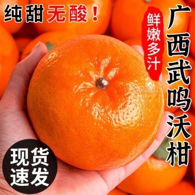PDD热销产品汇总20点档更新2024/03/25