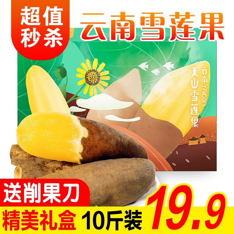 【旗舰店】云南天山雪莲果 高原新鲜应季红沙泥10斤装(净重9斤）