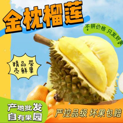 PDD热销产品汇总14点档更新2026/07/15