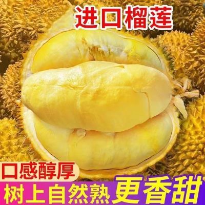 PDD热销产品汇总14点档更新2024/02/22