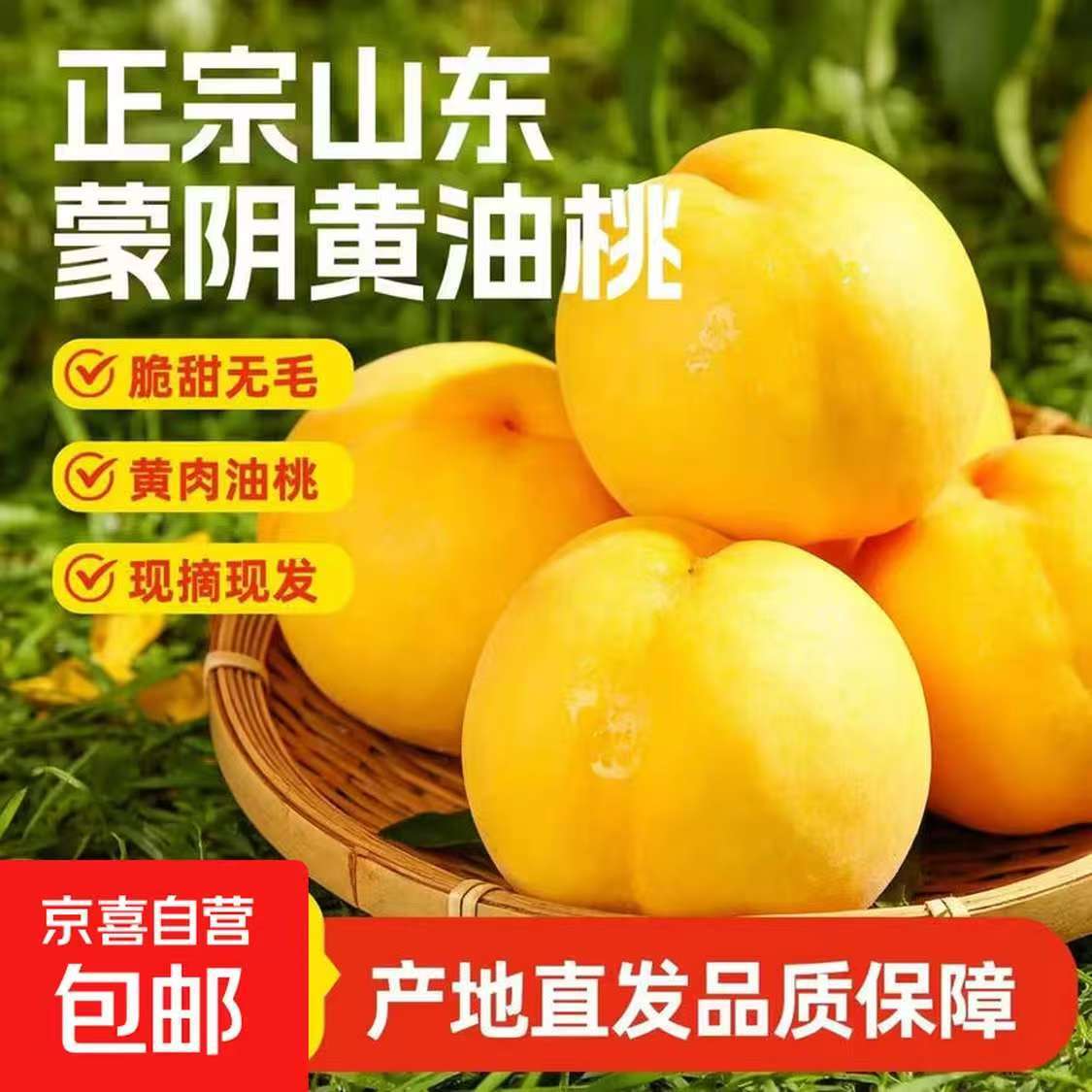 京喜蒙阴黄金油桃 带箱5-5.5斤到手价14.6元