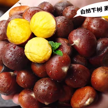 18.8元包邮！现摘丹东板栗大果*5斤
