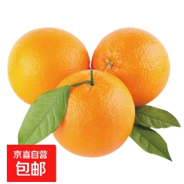 1.9元包邮！2斤橙子