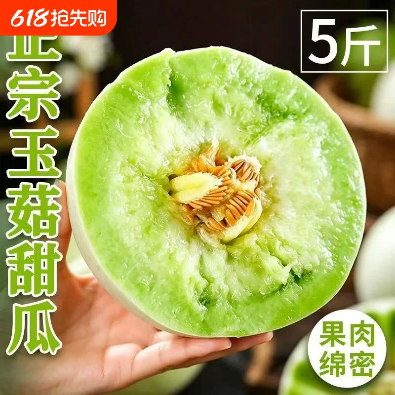 山东单县玉菇甜瓜净重4.5斤