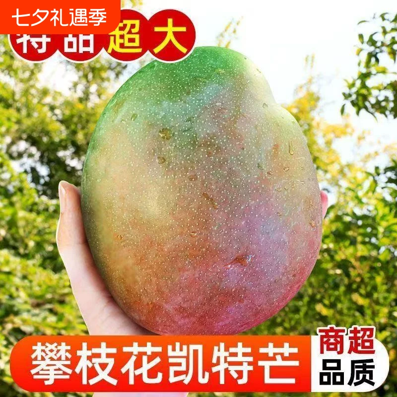 攀枝花凯特芒果4.5斤