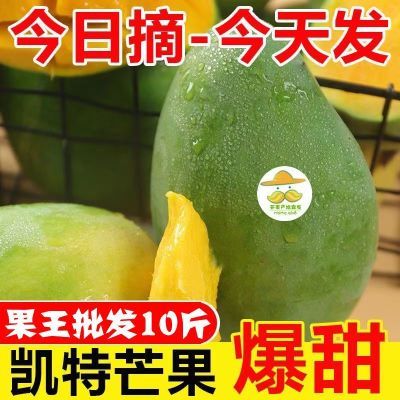 PDD热销产品汇总20点档更新2023/08/06