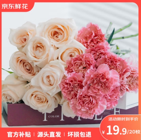 14.6元！京东鲜花 玫瑰10枝+康乃馨10支