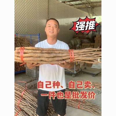 PDD热销产品汇总08点档更新2025/09/20