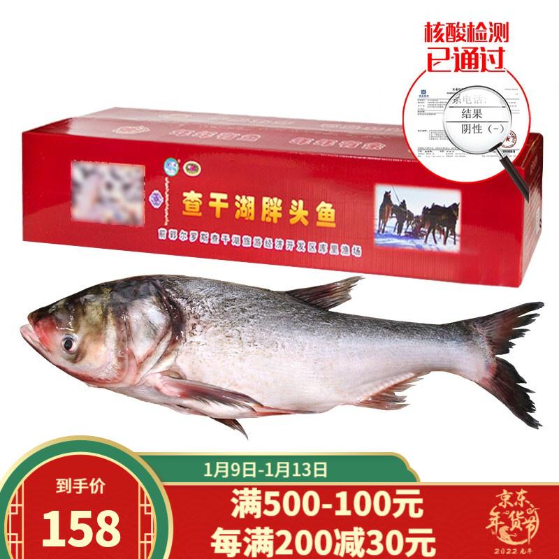 查干湖 胖头鱼3-4斤