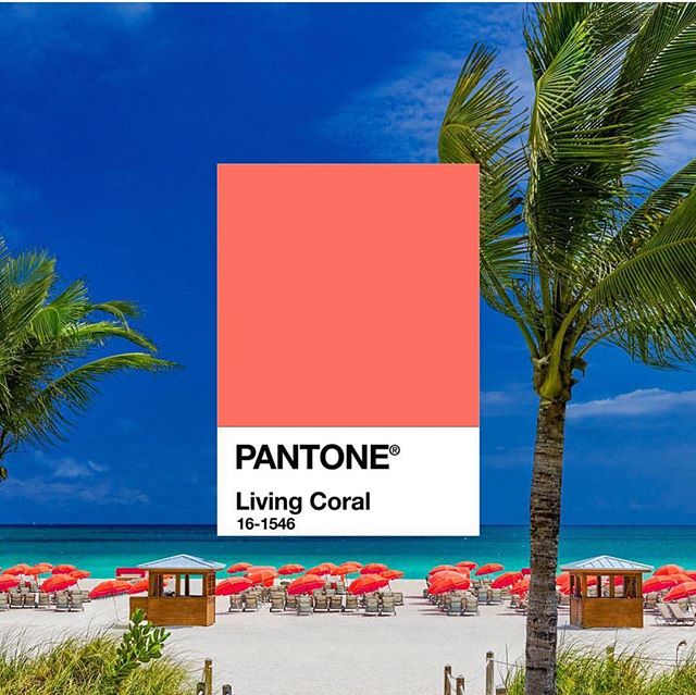 Pantone 19年流行色19年流行色发布 拔草哦