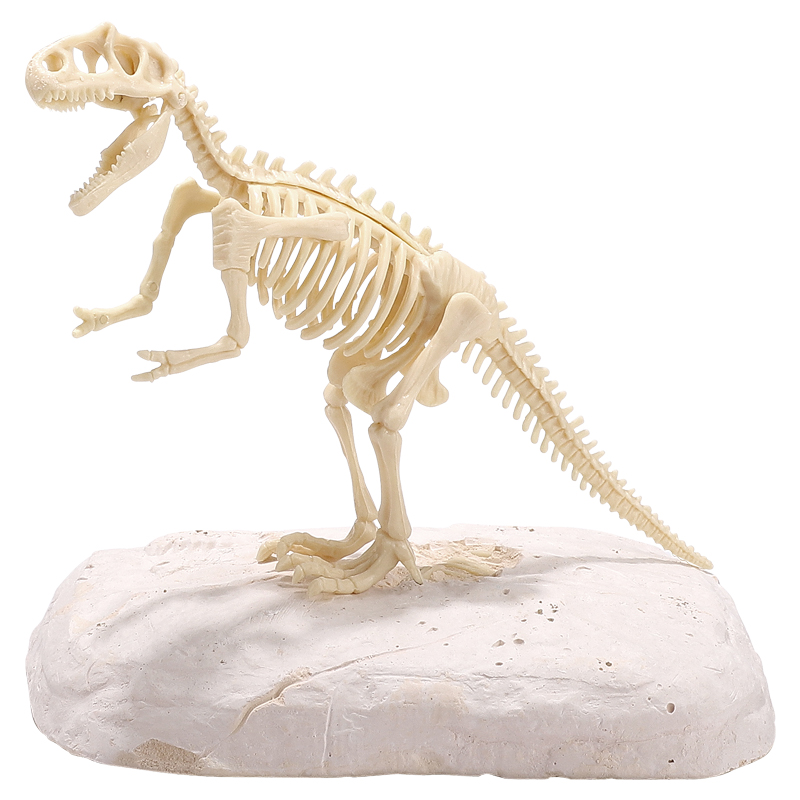 恐龙化石霸王龙骨架模型儿童手工diy制作