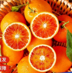 【血亏冲量】9.9元包邮！塔罗科 新鲜水果血橙5斤装