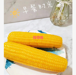 14.9元包邮！东北黄糯玉米 10支