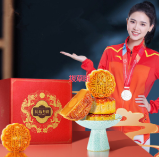 9.9元包邮！礼达月饼9饼9味450g礼盒