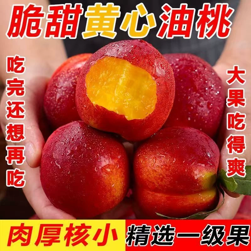 下拉7！正宗山东麻点黄肉油桃3斤