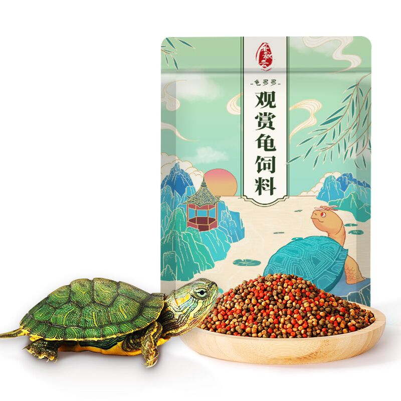 活泼好养乌龟+龟粮30g+苔藓