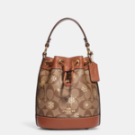 COACH® | Dempsey Drawstring Bucket Bag 15 In Signature Canvas With Snowflake Print