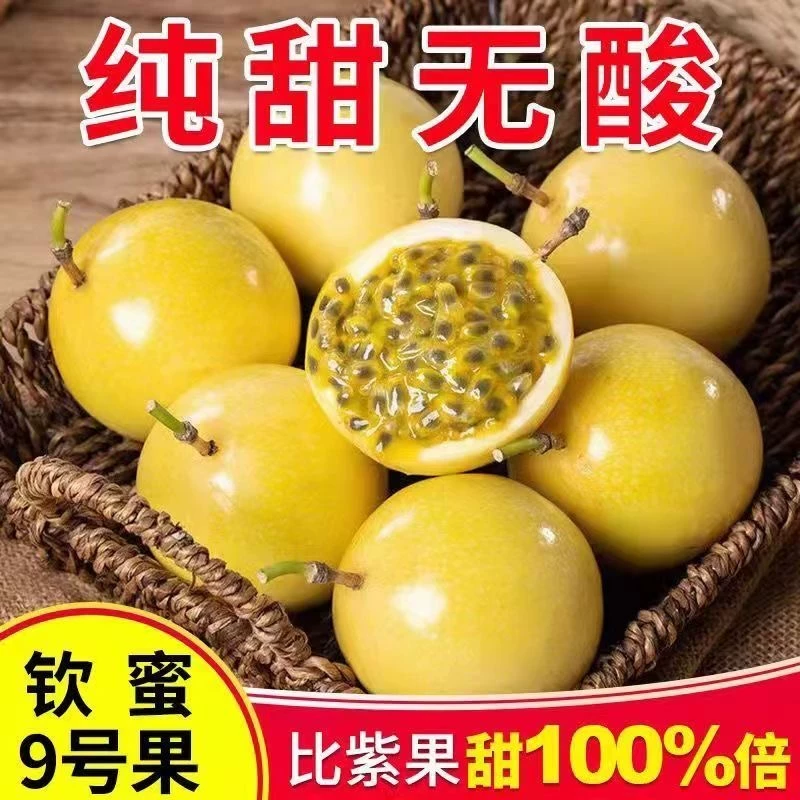 下拉14！正宗钦蜜9号黄金百香果2.5斤