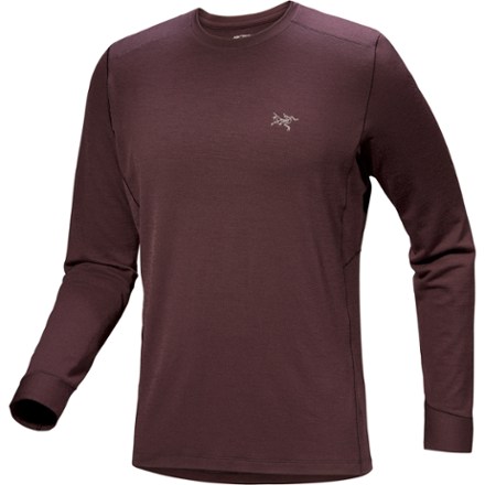 Arc'teryx Rho Merino Wool Crew Neck Base Layer Top - Men's