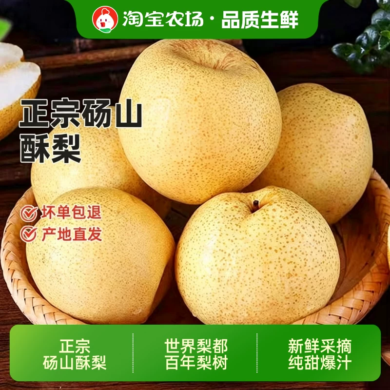 2026年新梨正宗砀山酥梨黄皮梨子新鲜水果非秋月梨包邮现摘冰糖