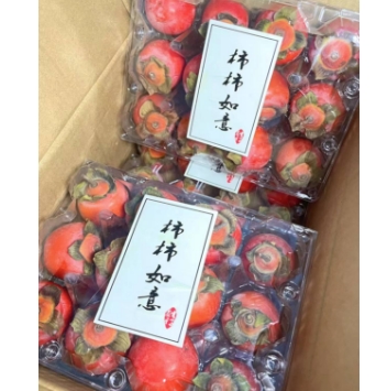 速度抢9.9元包邮！现摘的珍珠蜜柿 30枚（好评商家返1元）