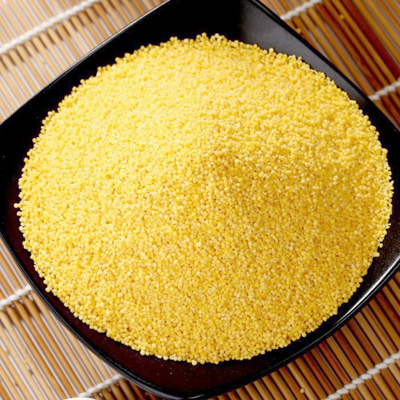 【拍两件】大金苗东北小黄米4斤