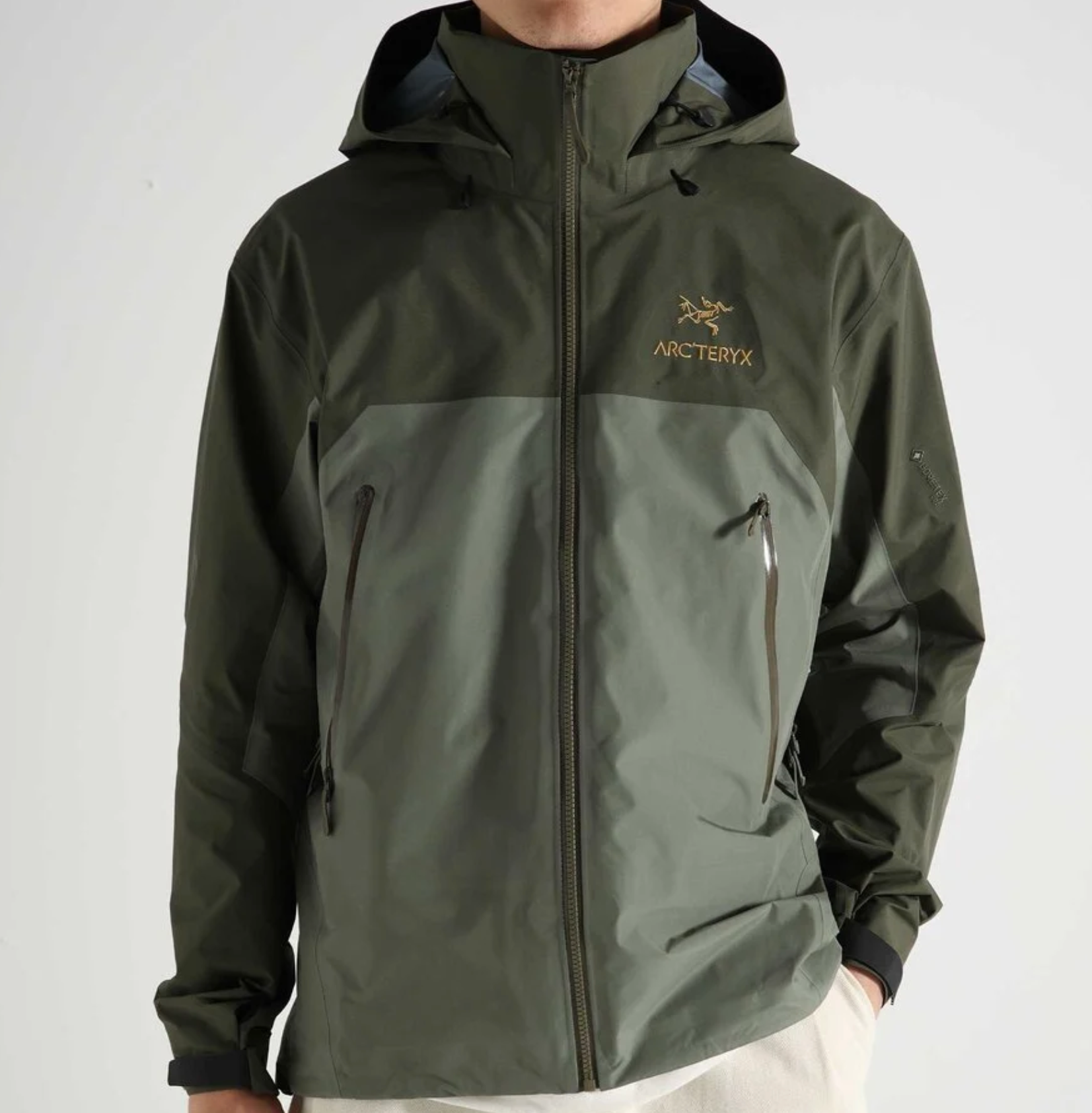 Arc'teryx Beta AR       Tatsu   L 