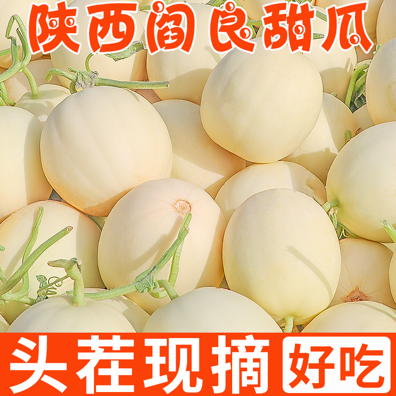 陕西阎良甜瓜5斤【3-6枚】