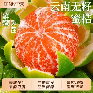云南蜜橘新鲜桔子应当季水果现摘无籽柑橘小青绿皮桔子自然熟整箱