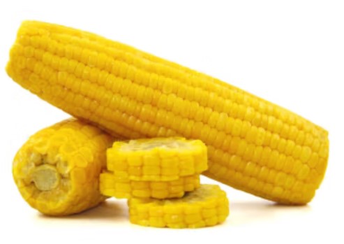 京濮飞甜玉米怎么样，京濮飞甜玉米有添加剂吗