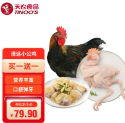 69.9元包邮！天农食品 清远鸡小公鸡600g整只 *2（含赠）