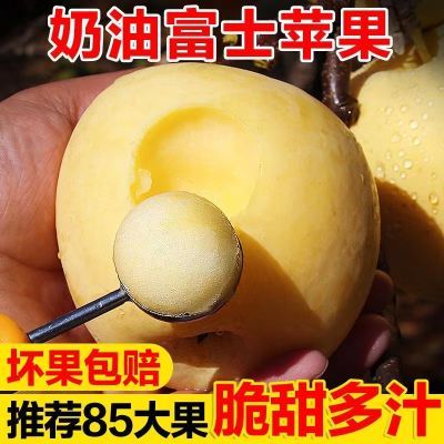 PDD热销产品汇总14点档更新2024/06/16