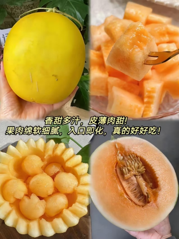 0_3