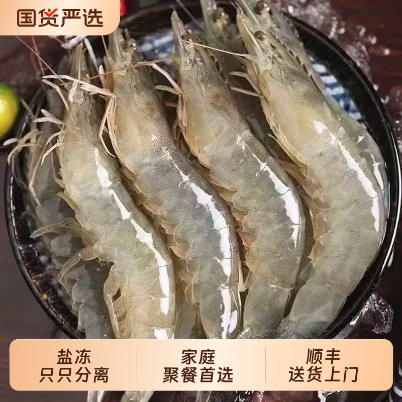 厄瓜多尔南美大虾2.8斤