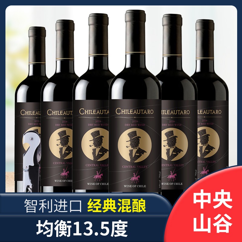 【漏洞价169】智利中央山谷产区进口红酒 13.5度 750ml*6瓶