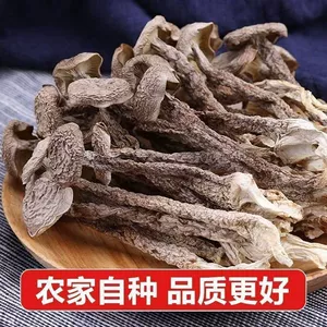 果官宣鹿茸菇干货整根菌菇火锅食材鹿耳菇批发炖汤干鹿茸鹿茸菌