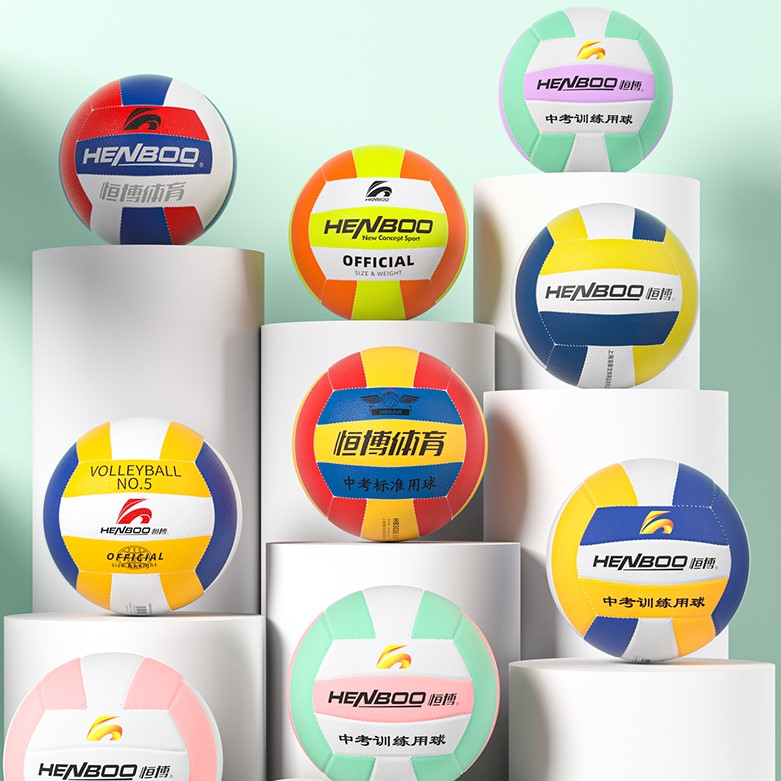 恒博中考4号5号训练排球
