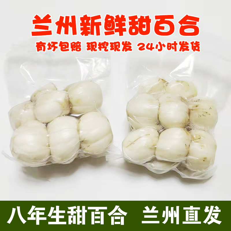 小马乐活 甘肃特产兰州百合新鲜蔬菜甜百合