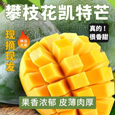 PDD热销产品汇总02点档更新2023/07/23